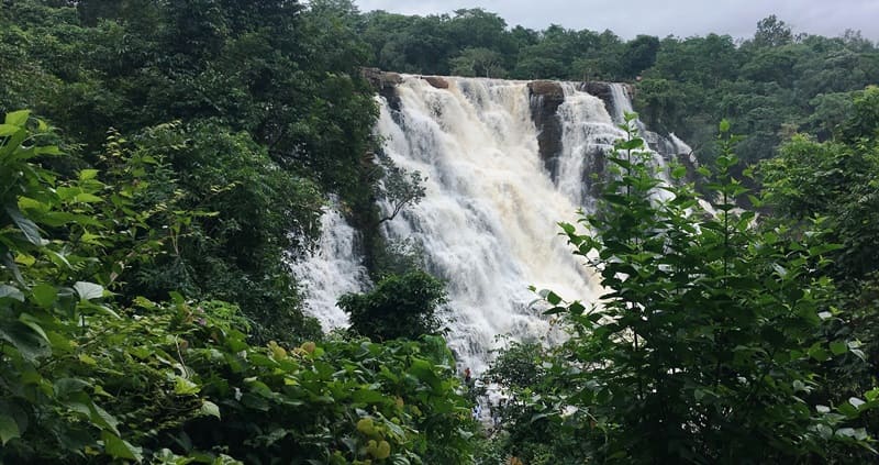 Kanger Ghati National Park Jagdalpur